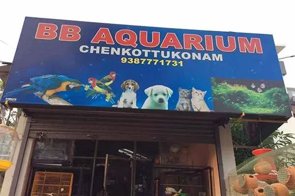 Image of: B B Aquarium